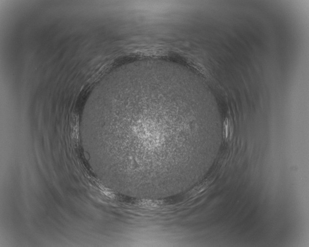 X0000078241251200611101026