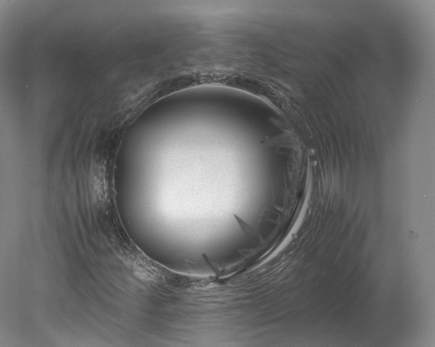 X0000078241252200611101026