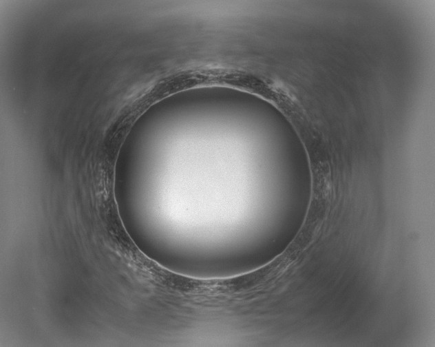X0000078241253200611101026