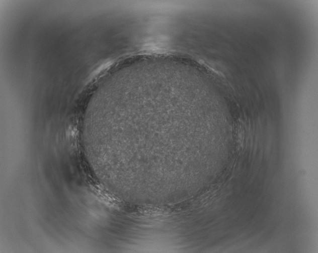 X0000078241254200611101026