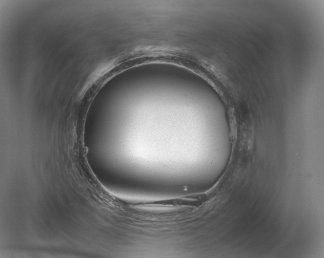 X0000078241261200611101026