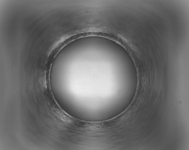 X0000078241262200611101026