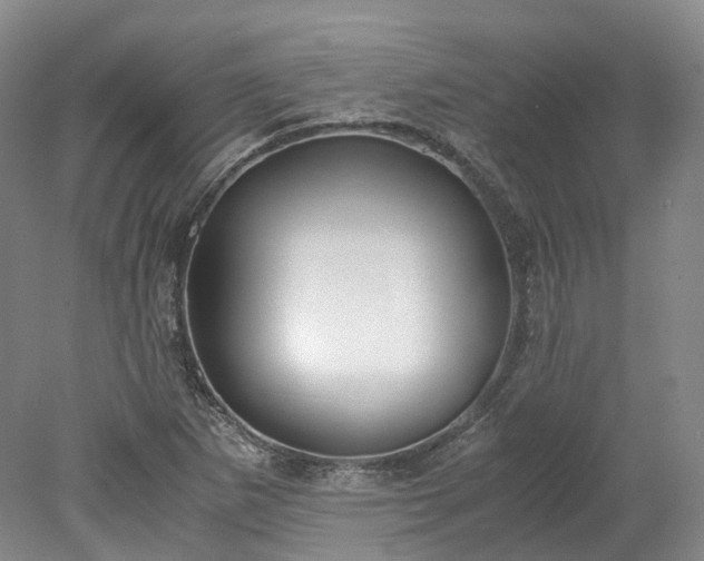 X0000078241265200611101026