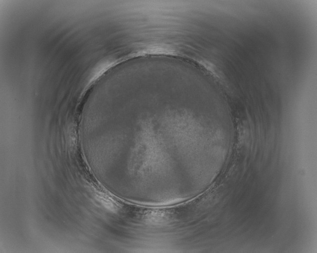 X0000078241266200611101026