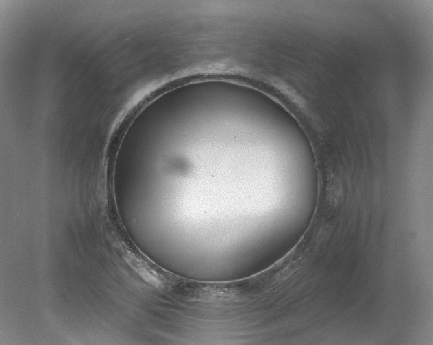 X0000078241270200611101026