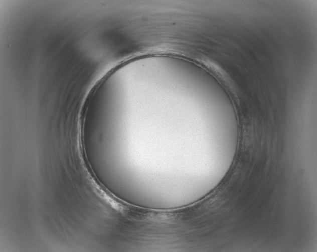 X0000078241286200611101026