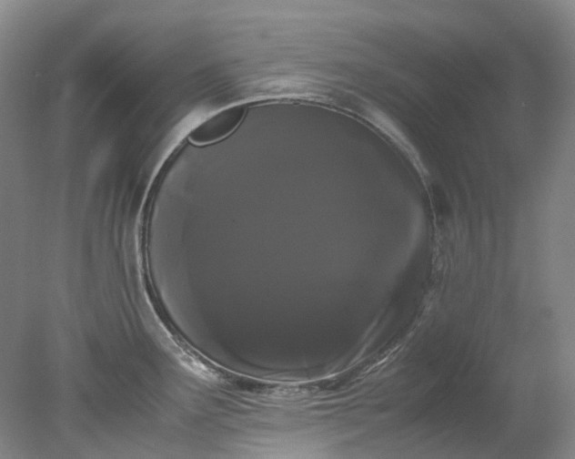 X0000078241291200611101026