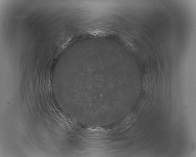 X0000078241298200611101025