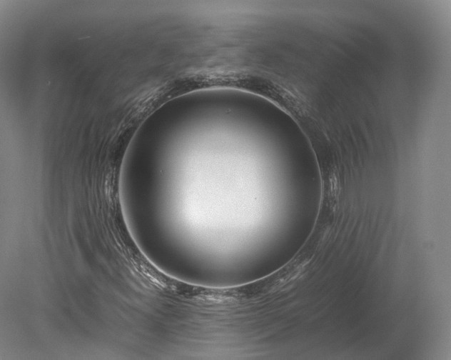 X0000078241300200611101025