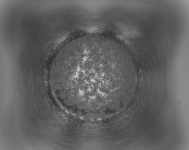 X0000078241301200611101025
