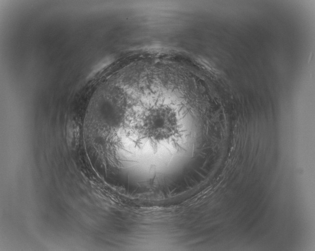 X0000078241302200611101025
