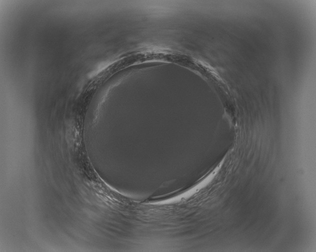X0000078241303200611101025