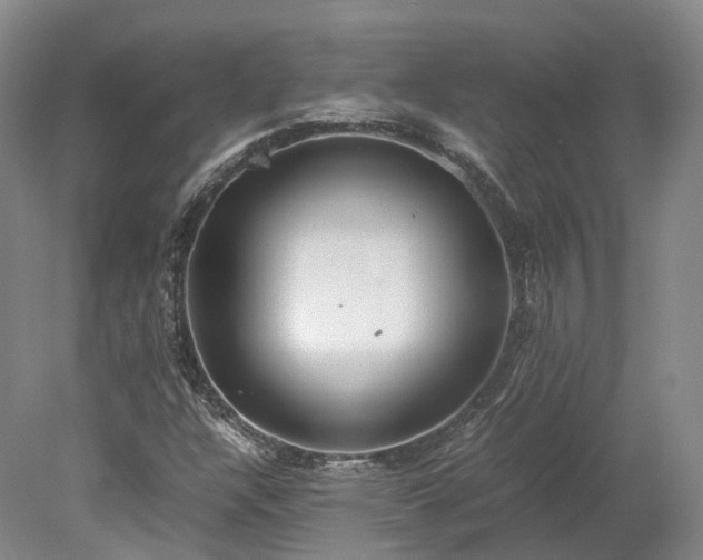 X0000078241304200611101025
