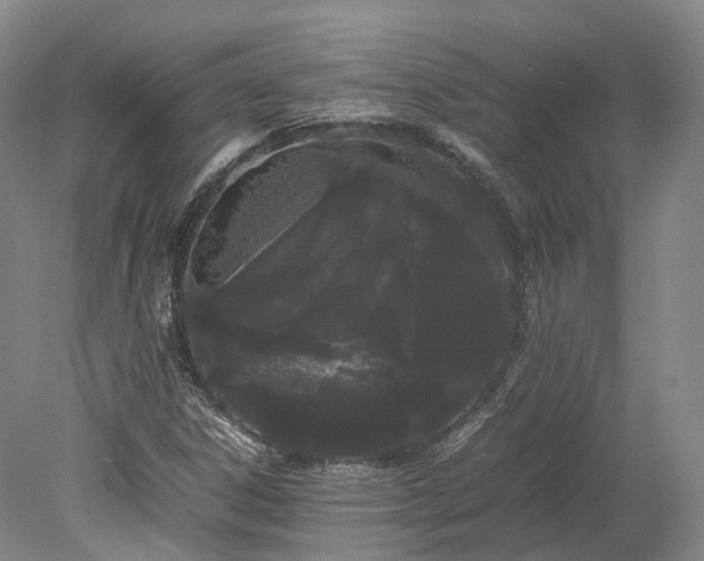 X0000078241306200611101025