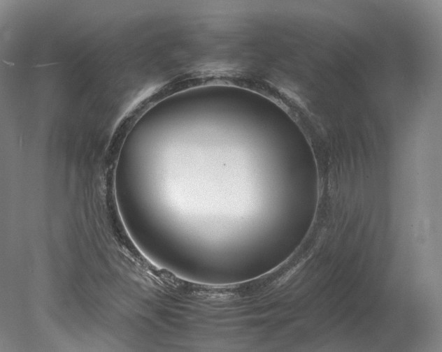 X0000078241309200611101025