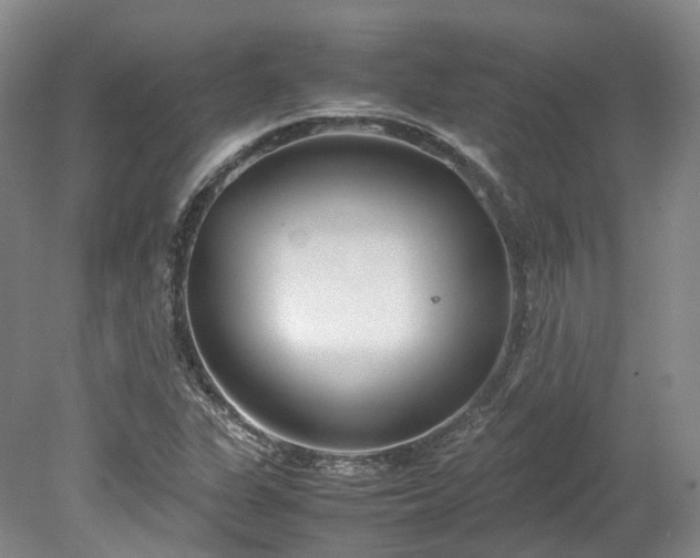 X0000078241311200611101025