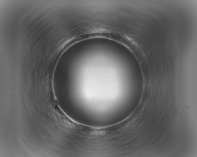 X0000078241313200611101025