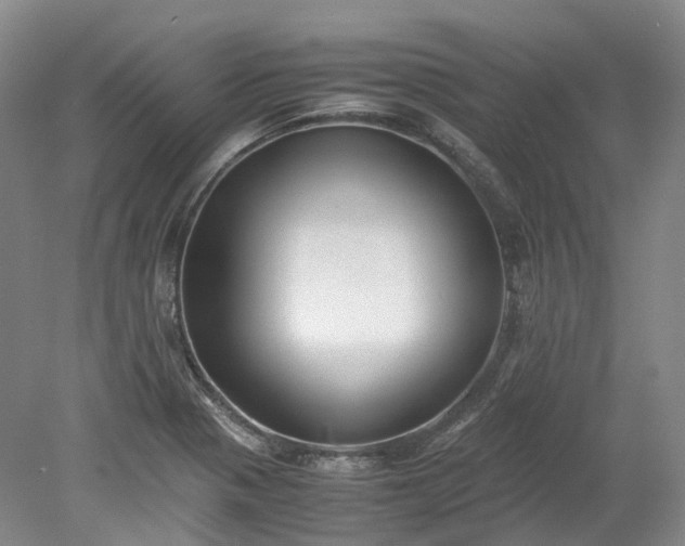 X0000078241321200611101025