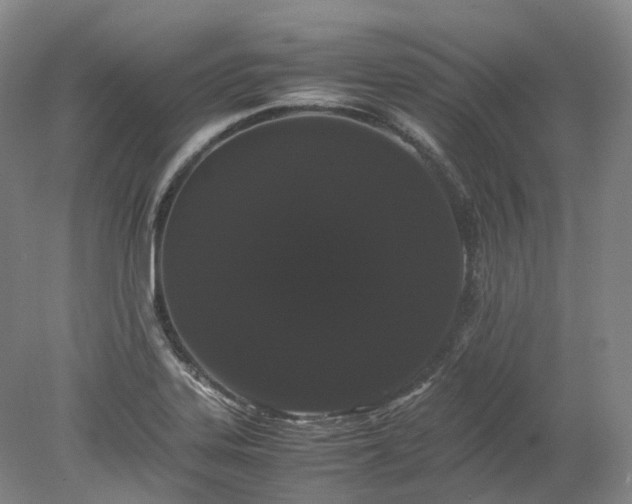 X0000078241323200611101025