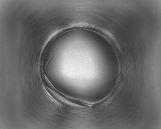 X0000078241326200611101025