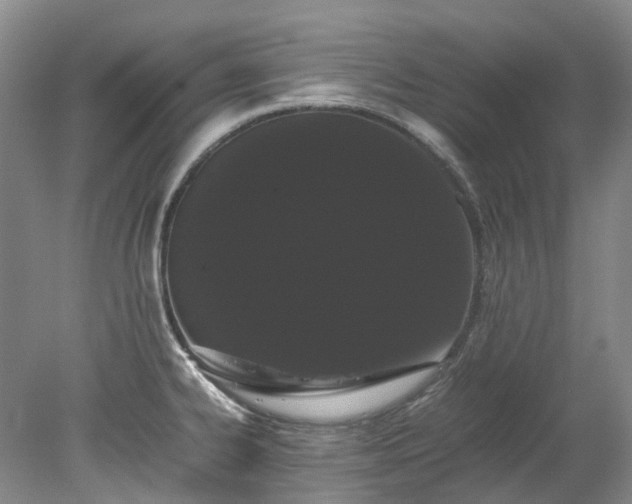 X0000078241334200611101025
