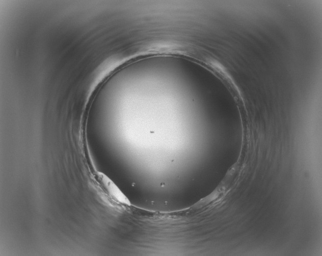 X0000078241336200611101025