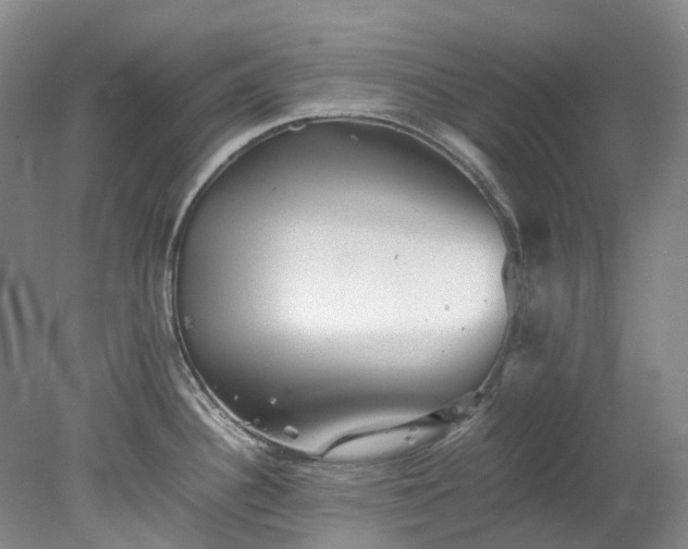X0000078241340200611101025