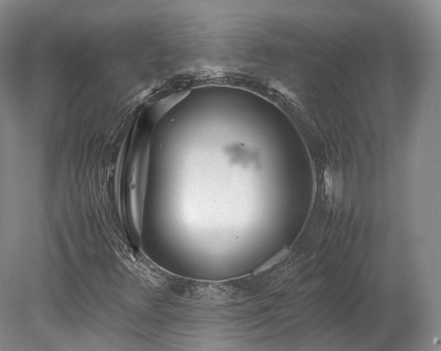 X0000078241348200611101025