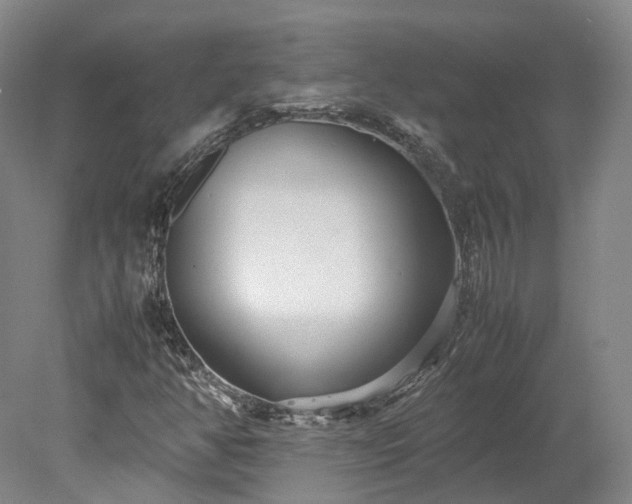 X0000078241350200611101025
