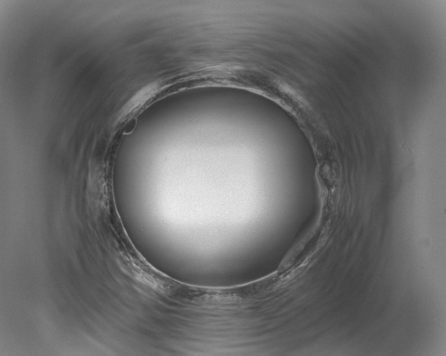 X0000078241354200611101025