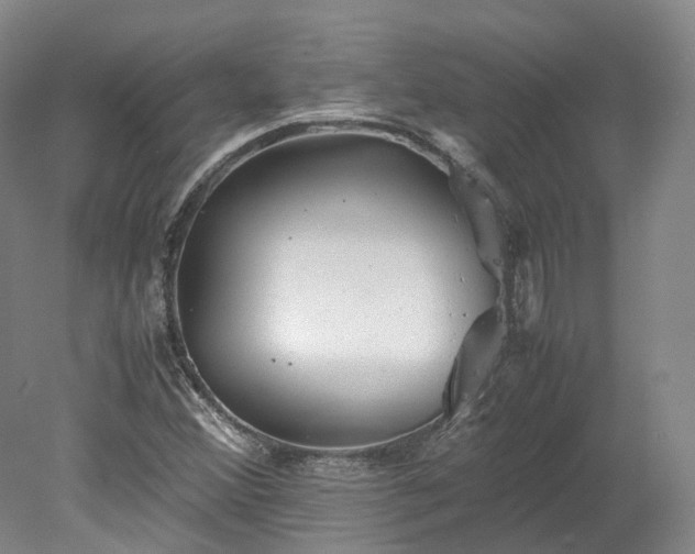 X0000078241356200611101024