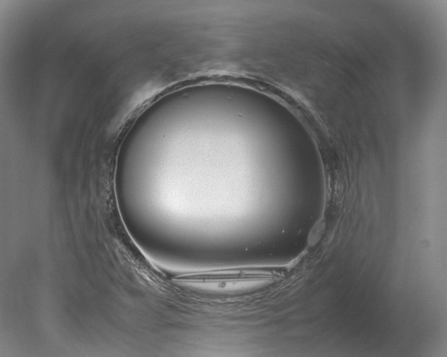 X0000078241359200611101024