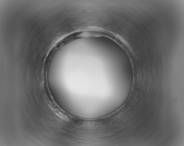 X0000078241364200611101024