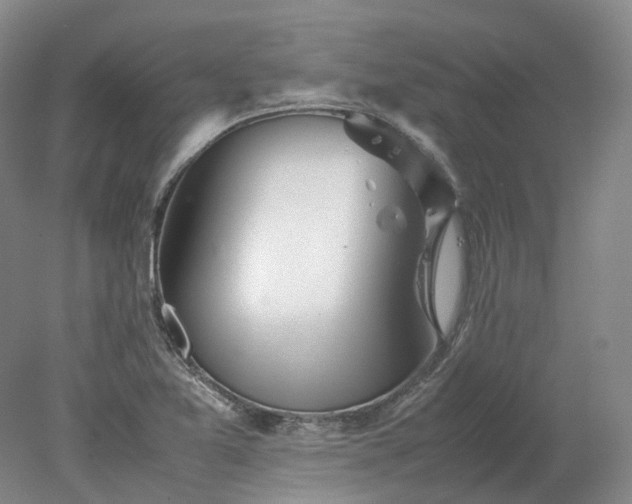 X0000078241365200611101024