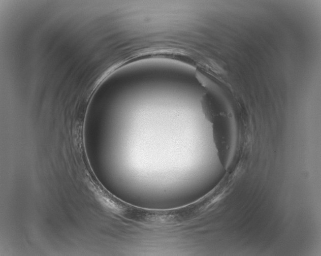 X0000078241369200611101024