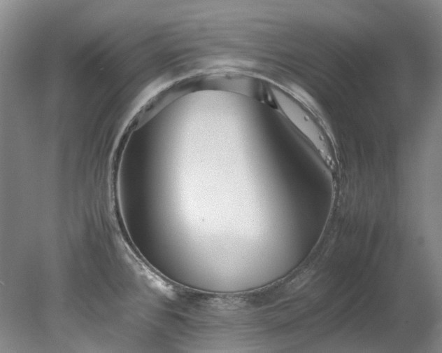 X0000078241384200611101024