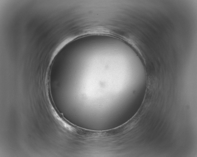 X0000078241387200611101024