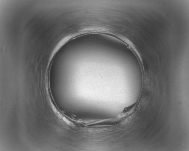 X0000078241389200611101024