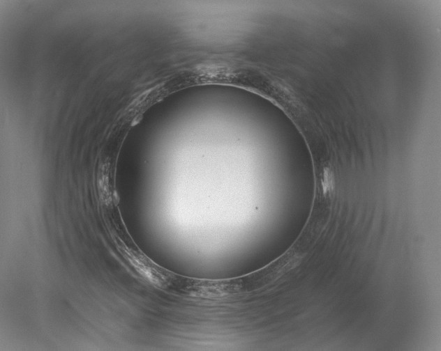X0000078241396200611101023