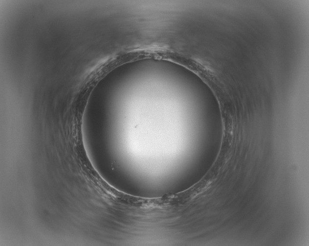 X0000078241398200611101023