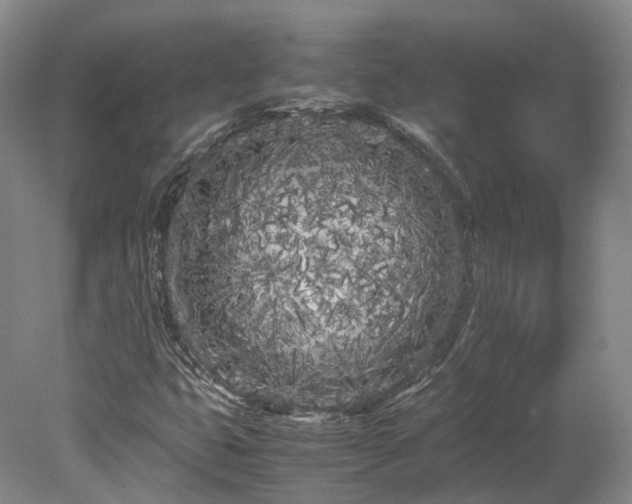 X0000078241399200611101023