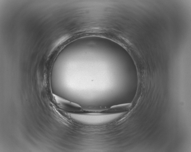 X0000078241402200611101023