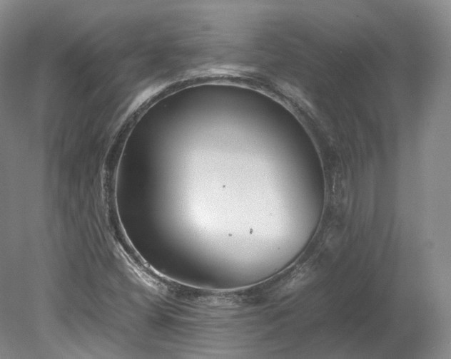 X0000078241404200611101023