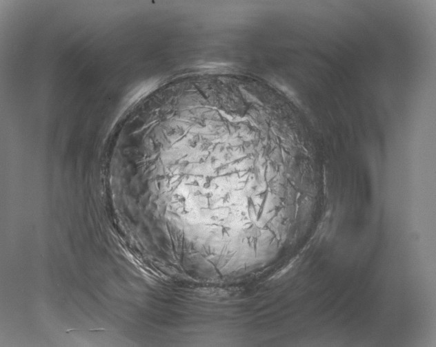 X0000078241405200611101023