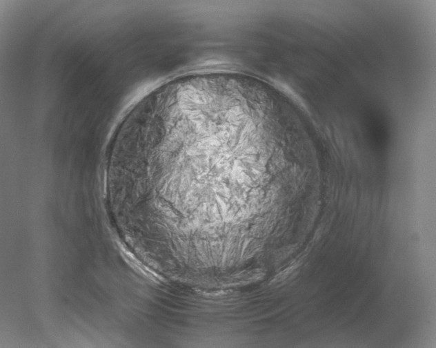 X0000078241413200611101023