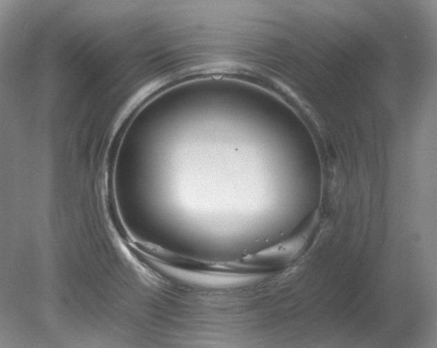 X0000078241418200611101023
