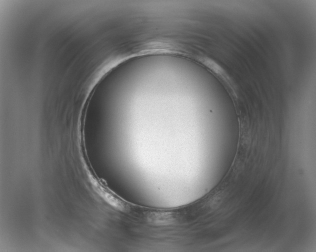 X0000078241431200611101024