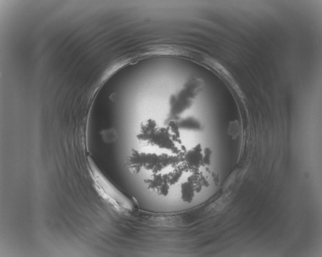 X0000078241433200611101024