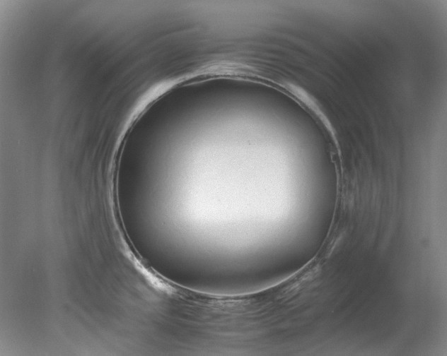 X0000078241437200611101024