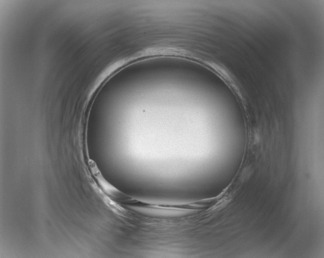 X0000078241438200611101024